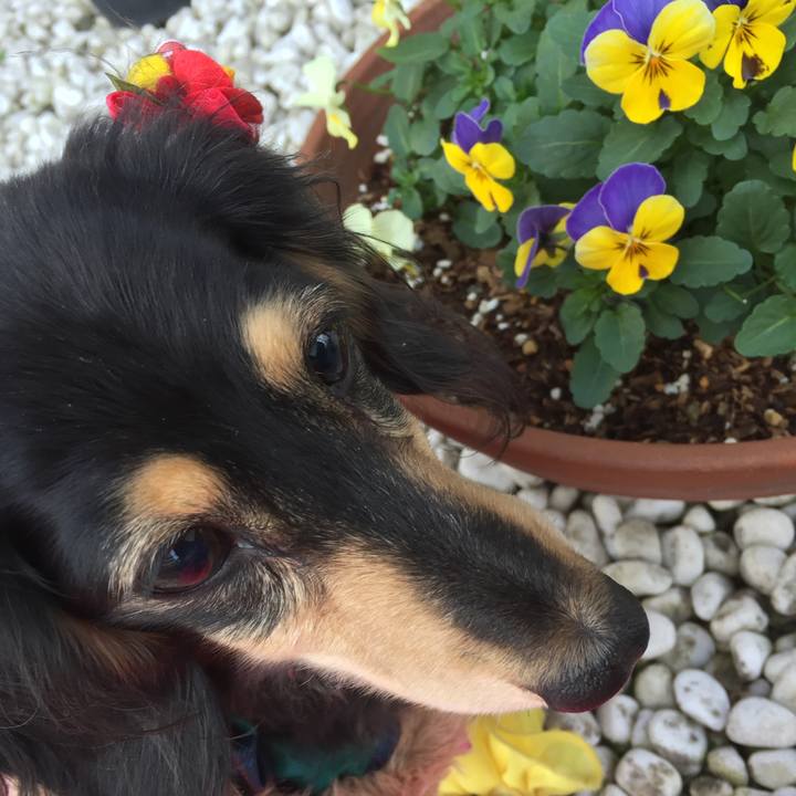 18b83daa 4241 415b 8bd4 a11f7bc15c24 1545783957558