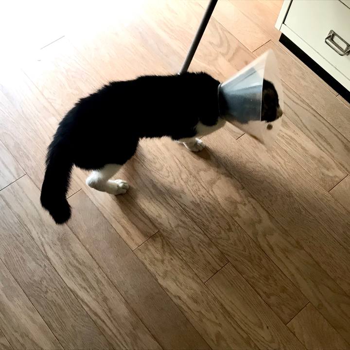 18b878cc e836 4217 9451 f1bdde759e57 1581385770329