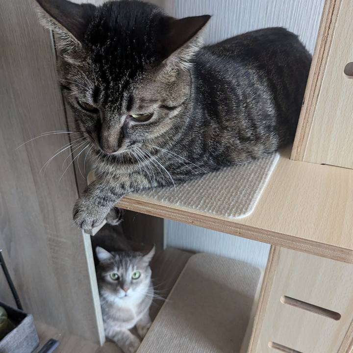 18b8bb75 fe67 4a0f aa36 aa5509e3270c 1725100998280