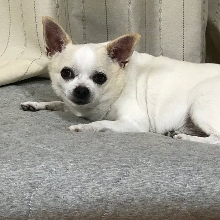 18b8c510 0695 4697 b752 d80cb9e07afc 1540091997130