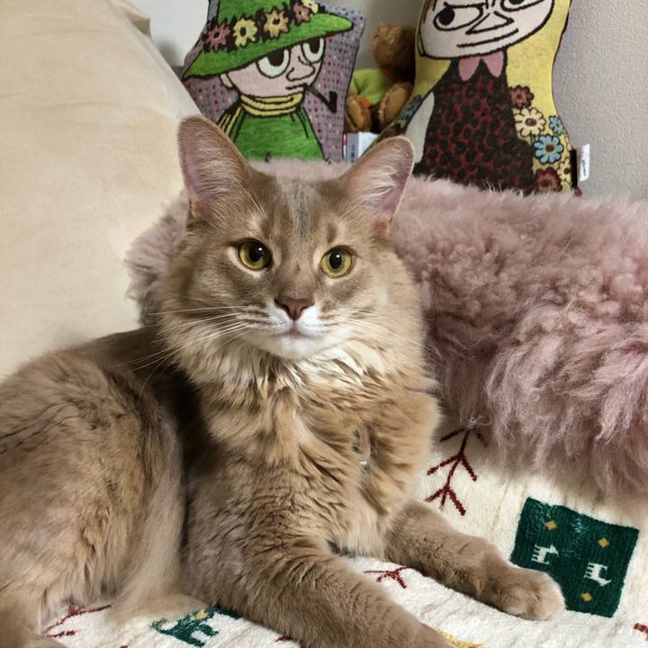 18b8deb5 31f4 41f2 b8df 5d5ce4d32bfe 1610986005574