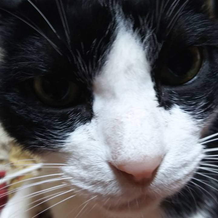 18b8efe6 6c25 4b6c b6b4 c6378f92f712 1580852518294