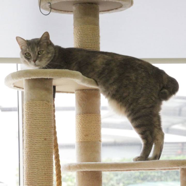 18b8fc7d f0d3 470c b93c 8628bc8aba3e 1589860280414