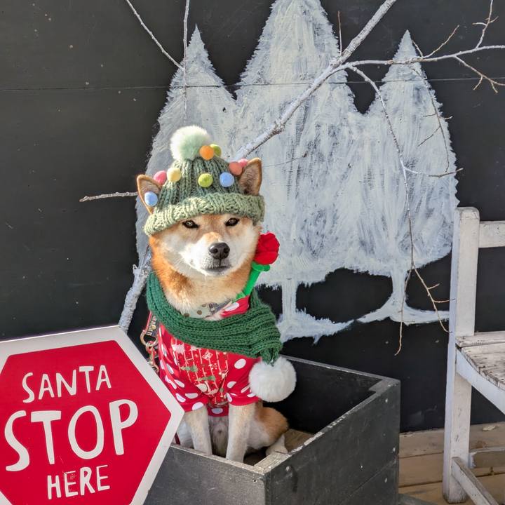 18b90e58 413a 4662 aa1c 3fcb48f4d0fb 1733813704269