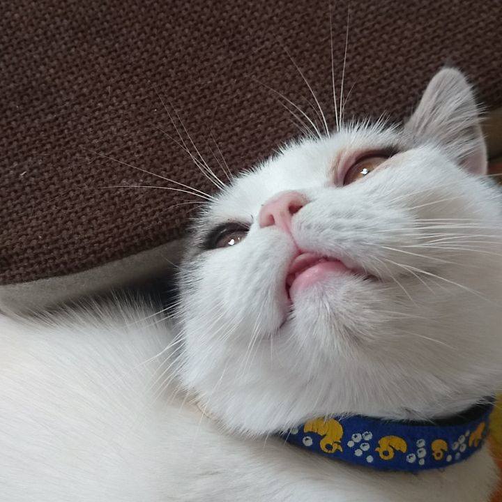 18b91efa 98a8 4a53 9251 27b9158c6fb0 1540007236751