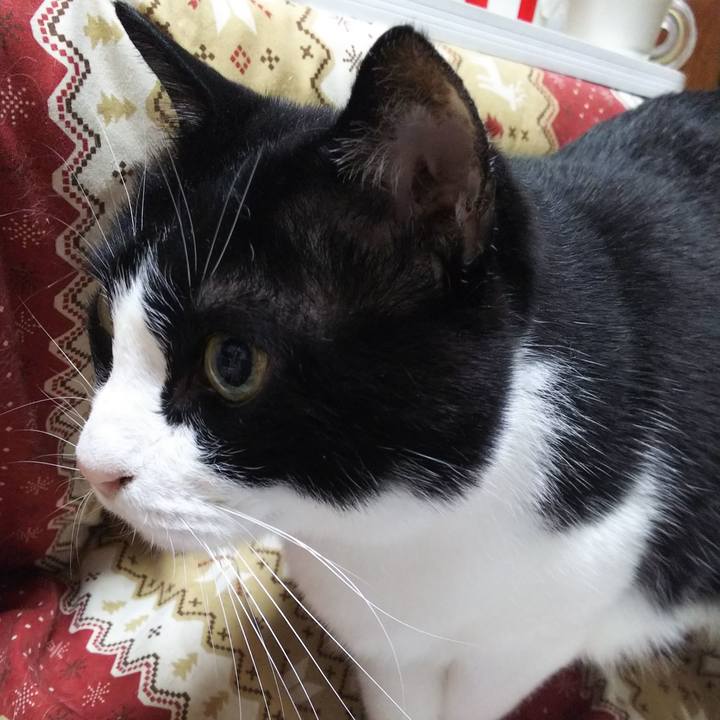 18b9371a 275e 4f7e 8470 139c6c17f421 1556579627484