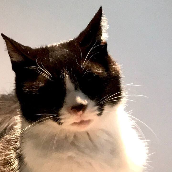 18b93f76 5996 43ed ba27 5959df786a92 1524042766293