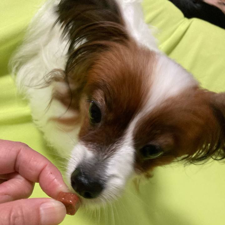 18b96c86 5e90 49f8 99c0 3438c9f15b27 1664623725315