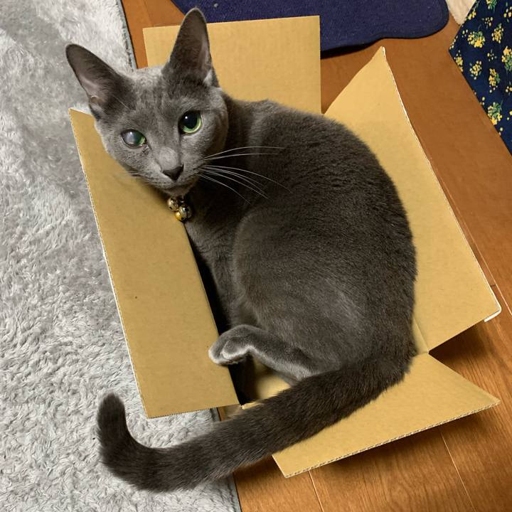 18b97698 41e6 4fb9 8f6a 5f0416d40b16 1674822166300