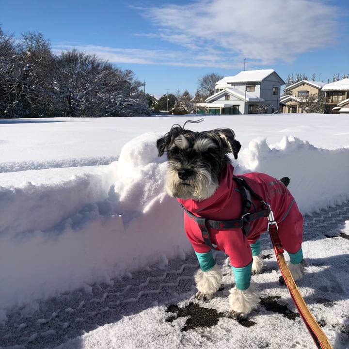 18b97910 4087 4d68 9871 93e1beb500e5 1674969470861