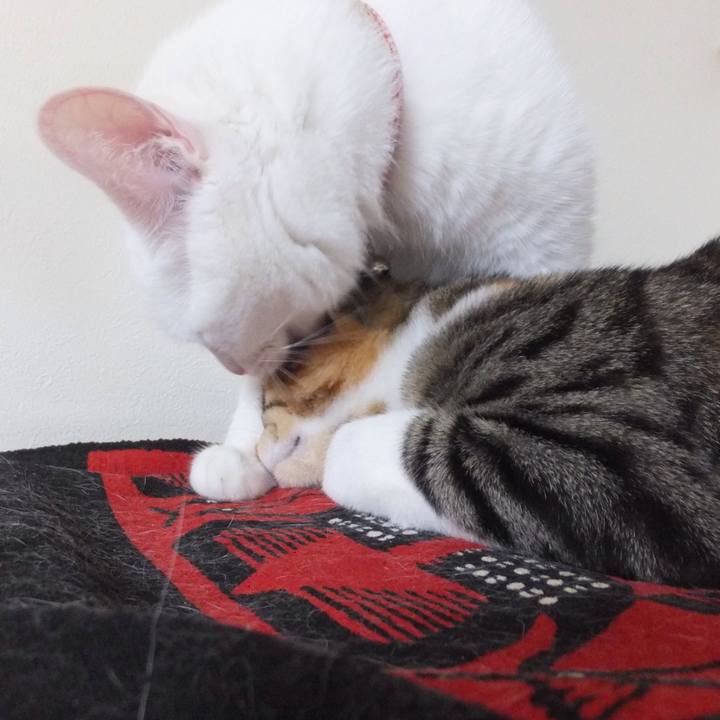 18b98b26 953f 4ab8 8206 75557677ecef 1631686649866