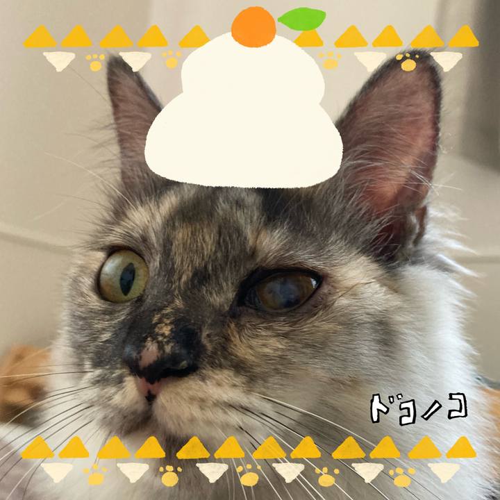 18b9f01d 3293 4f57 a5c0 4f8d524ffdd6 1704242669519