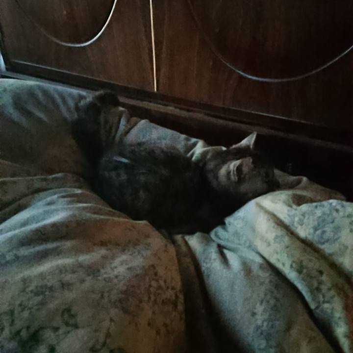 18ba0a7f d58b 4180 8e84 58b2ca343ea4 1590781565692