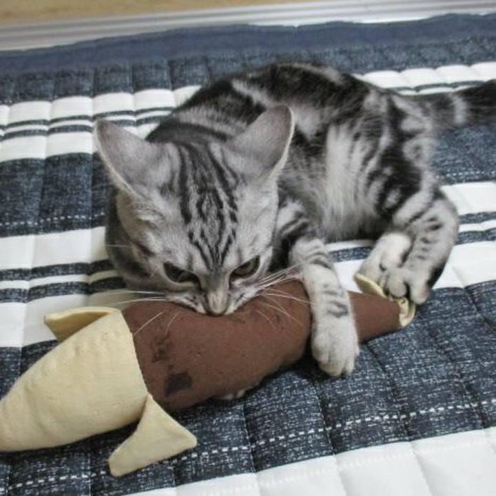 18ba2092 5ee8 431d 9105 e9439b8c4fa4 1538052049149