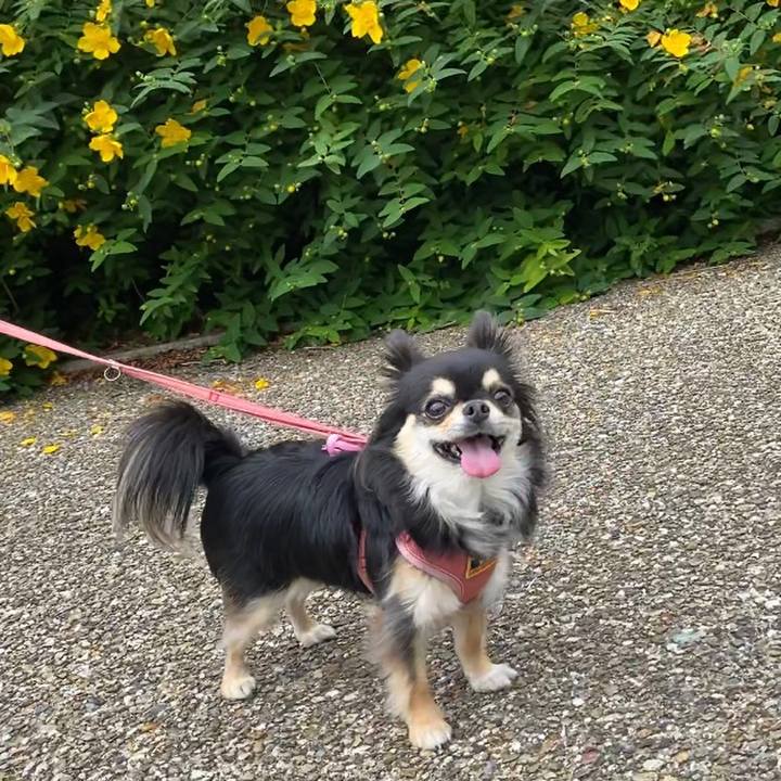 18ba4b33 5266 4fad b16a b2322c86e3ac 1622063192867