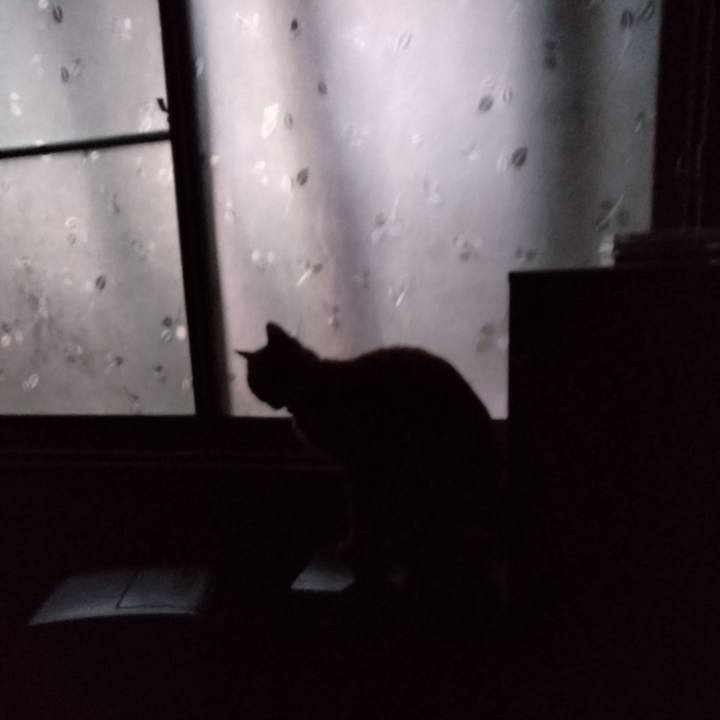 18ba8ba8 9929 44d7 a92e b42c3d95c71d 1667944753078