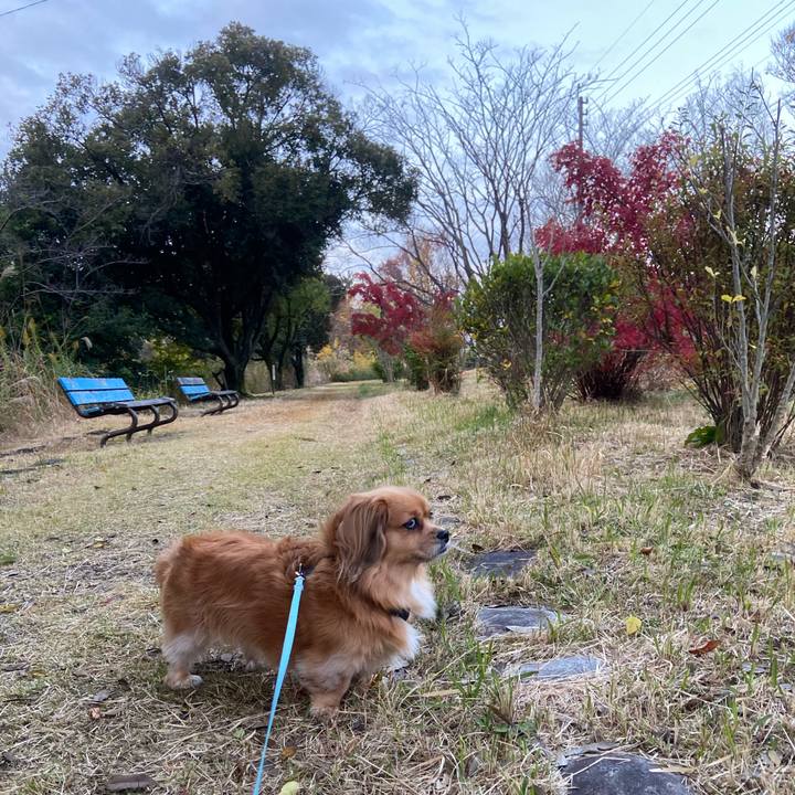 18bacbcc 9189 400b befc 330a7367122e 1605651374189