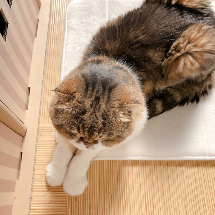 18bacf84 6a08 40a6 bdb3 79f57286c7af 1590419932136