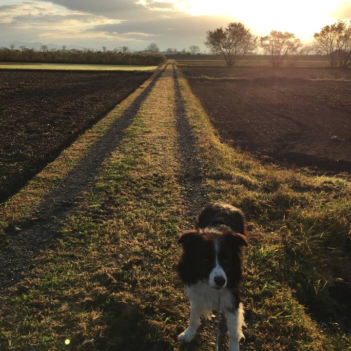 18bad88a 0dad 42f5 92ab 04bad0dd98d2 1574202729365