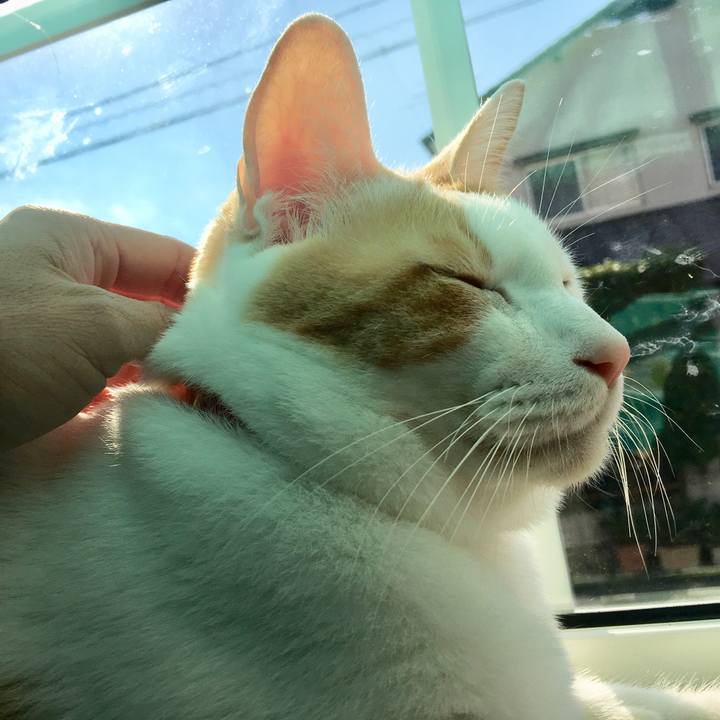 18bae864 b95c 4f86 b0ec 25ddb92754b9 1509520714169