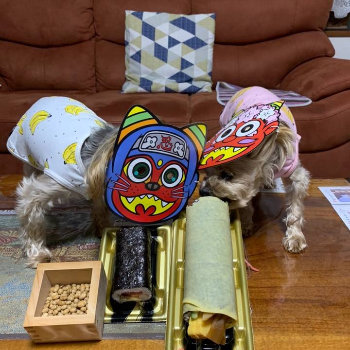 18bb2fdc 6a0a 456a 8b86 93f9e8c666e8 1612257657371