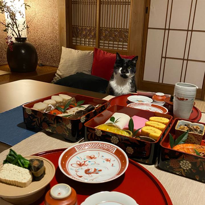 18bb3d6f 5d03 4312 a11e c12b1aa9cae1 1704275918891