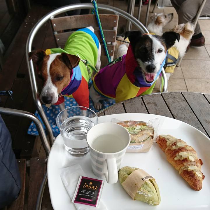 18bb5278 3540 4ede b43d efb6ca7fd96c 1594011933816