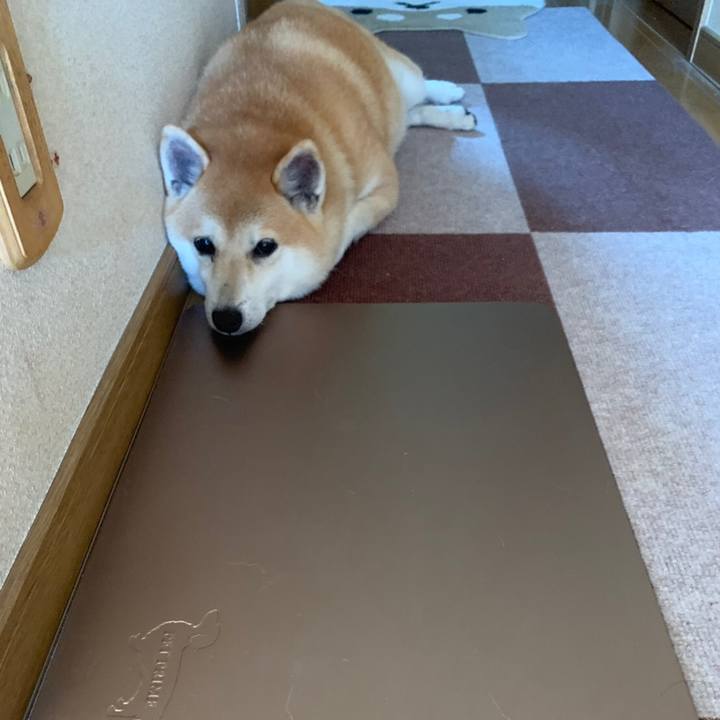 18bb8324 9f35 4b6f a4e1 03aae72984a9 1568034387808