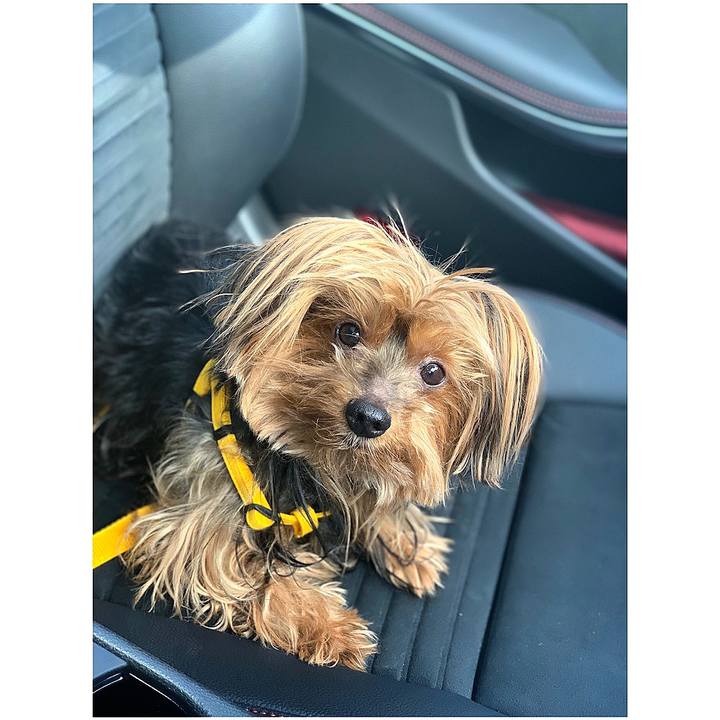 18bb840f 2b1f 4c2d a043 2d82eb0da545 1548822474647