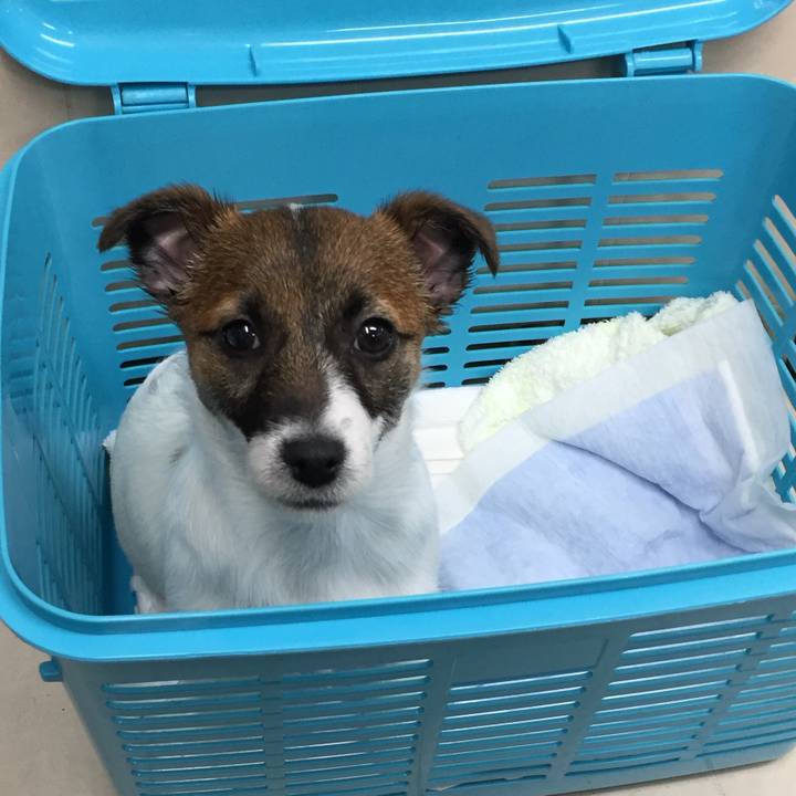 18bb90db 31a9 4955 83f1 43f817cf3b3c 1732981273519