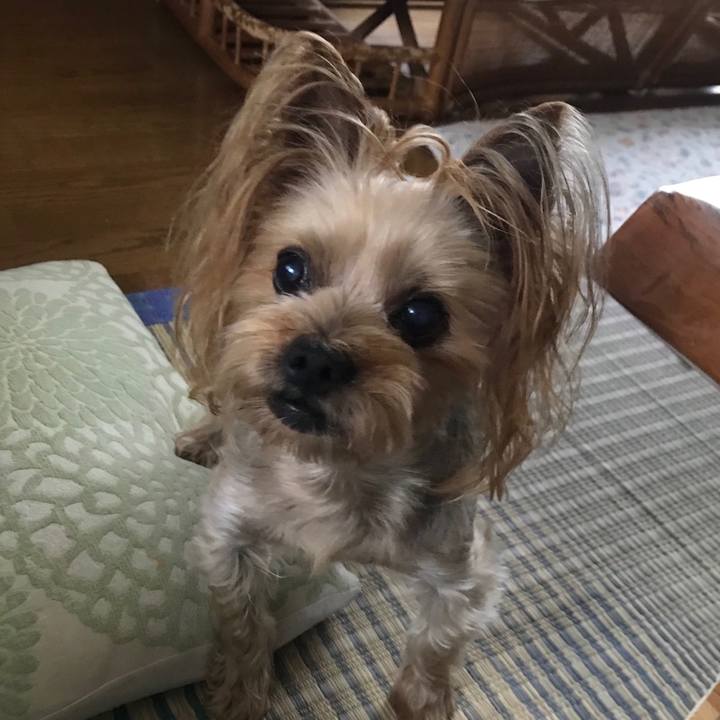 18bbbf3b 6c8a 40dd 8920 378080efa3fc 1561204879836