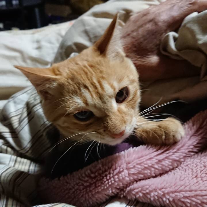 18bbd1e5 e031 44eb b99a a9c3c8234081 1635193543478