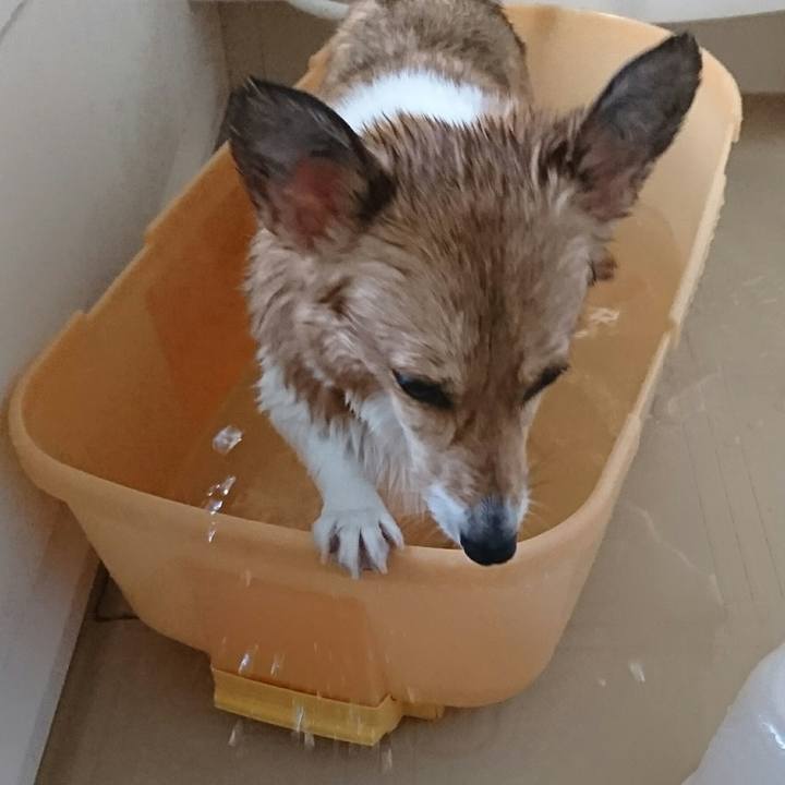 18bc0fe8 7c12 4170 af6c 5ccb25ced9e0 1509369280474