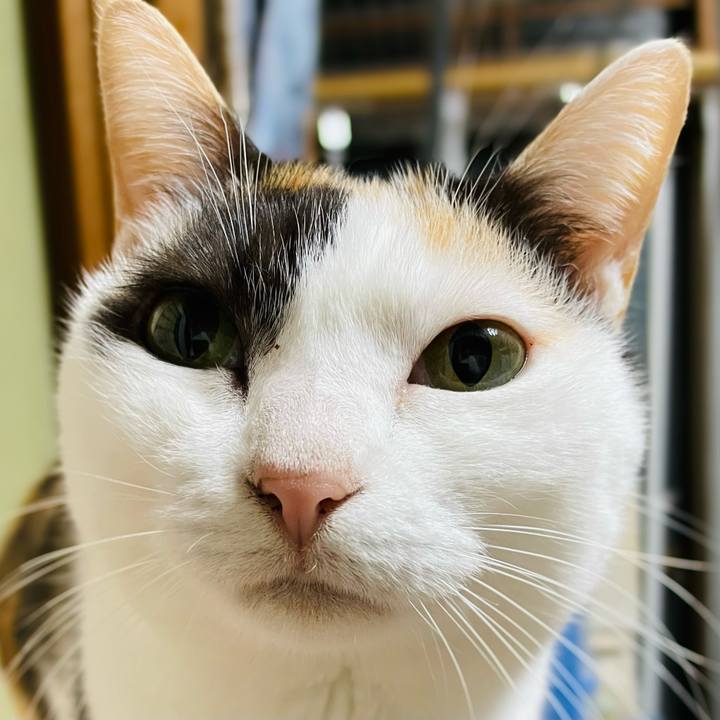 18bc1b2d 860f 46e1 807a ef6c85005bf4 1640395498161