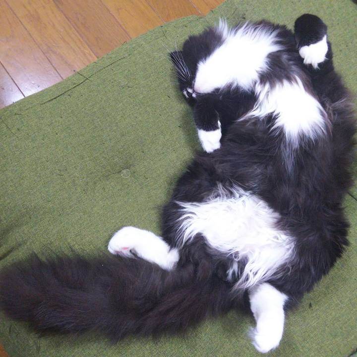 18bc22ca 572c 4a89 9a7e 6a1599532ff0 1650612123365