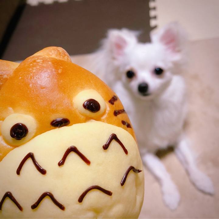 18bc30a4 cd0a 4e20 8e42 3a9e3f86df33 1525190299621