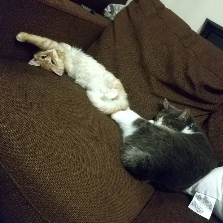 18bc37ec 56ab 47a4 ad95 cdb76e87b69a 1607730121713