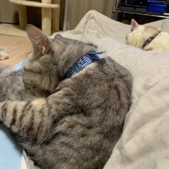 18bc39e9 b77b 4e04 b51f fbd23c285ff1 1564496571864