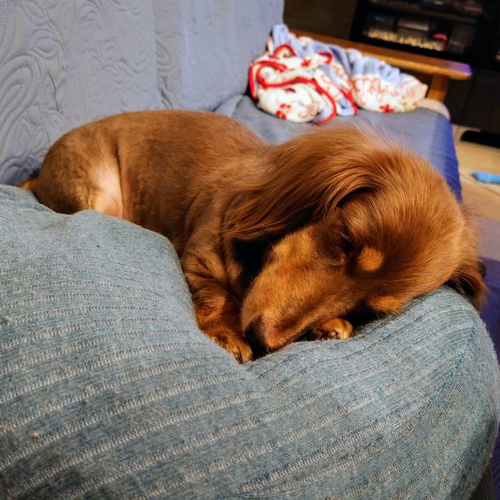 18bc570b ff73 4387 a0a6 256f936867b3 1722341529599