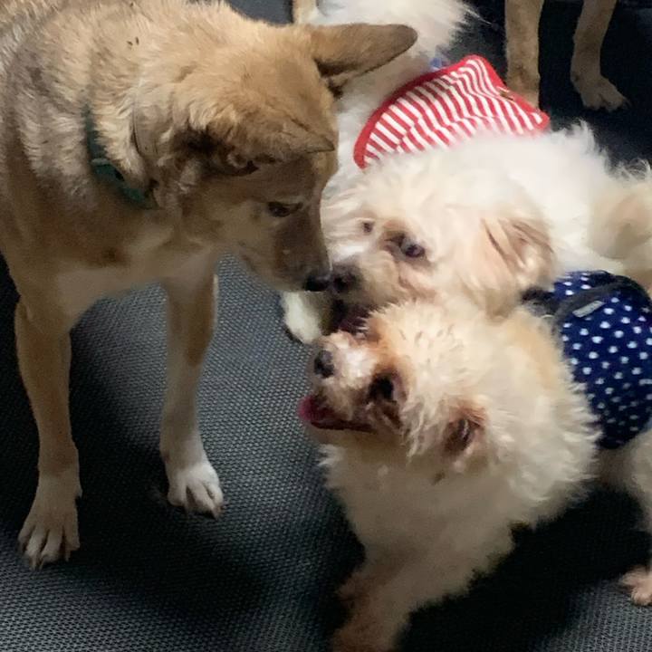 18bc6e84 3c24 407b ae4c 27d04c760a45 1655537248056