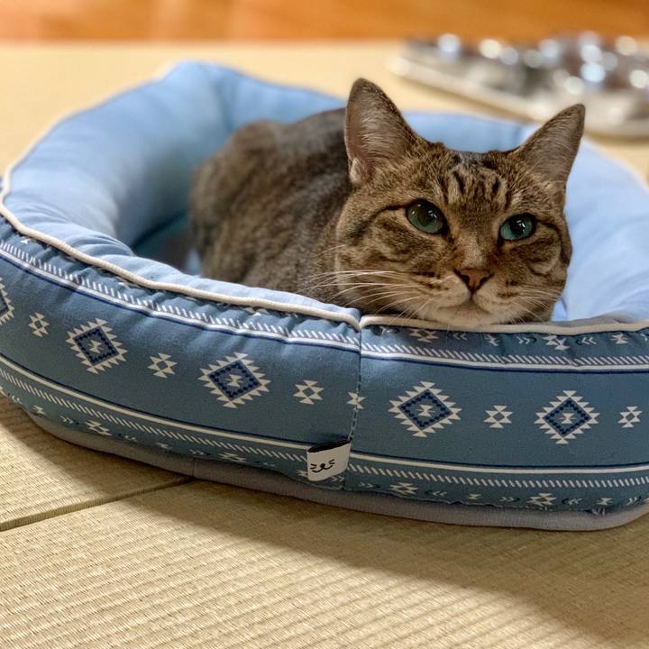 18bc7114 9f73 4063 90e7 19090b991e99 1565597992110