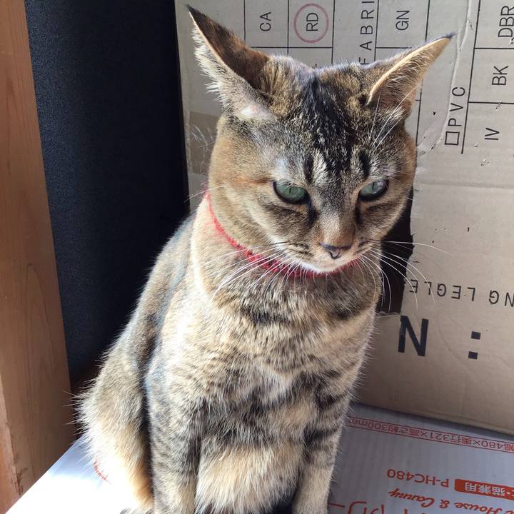 18bc9d82 5494 4128 befe bf4957451596 1642308442233