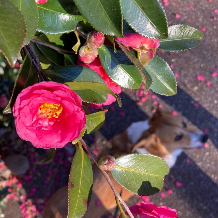 18bcca12 bfbb 4e64 92b4 2961d3932ccf 1736991247456