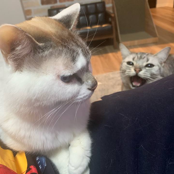 18bcf031 f306 4b47 b7e1 69d9aaab468a 1646481516488