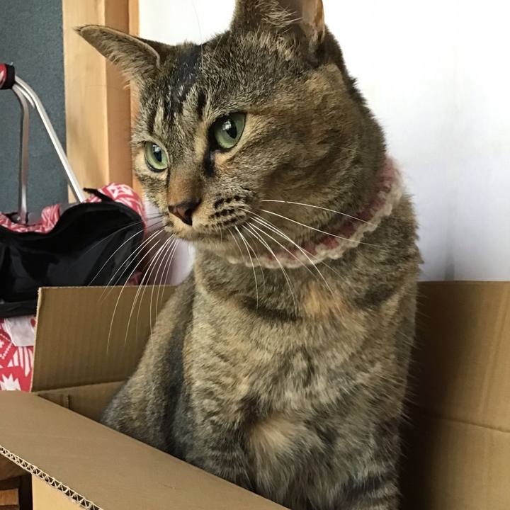 18bd1d0e 1c4d 4cd4 b1ef 8907d3bf1420 1658741887148