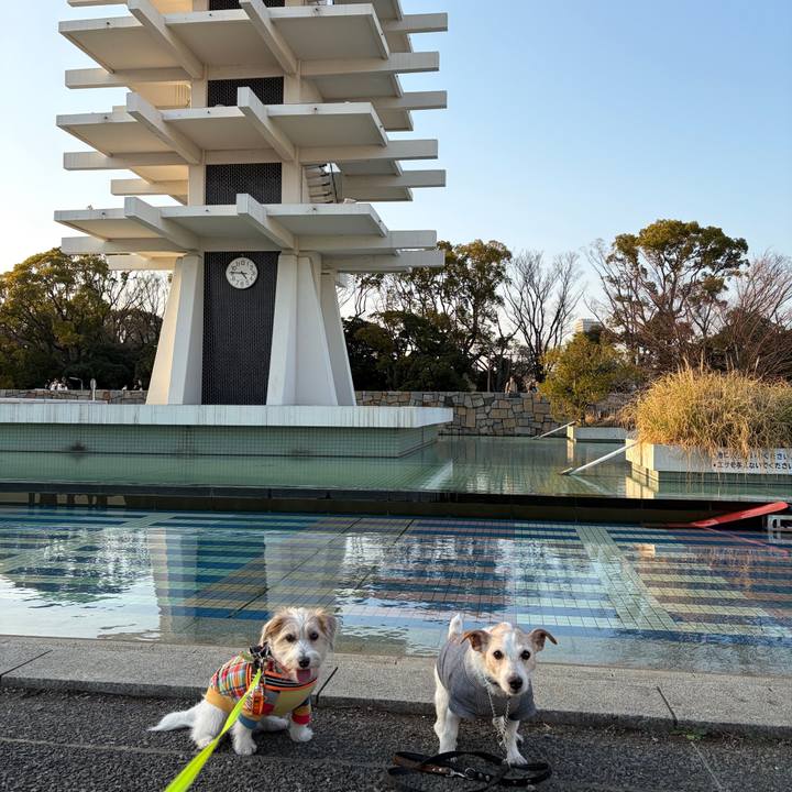 18bd31dd 1fc8 43ab bb31 bdf9498129a4 1774092434686