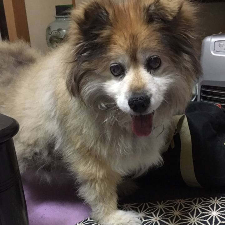 18bd46b0 9f4a 4bf3 9791 be856bd64dfd 1558688503510