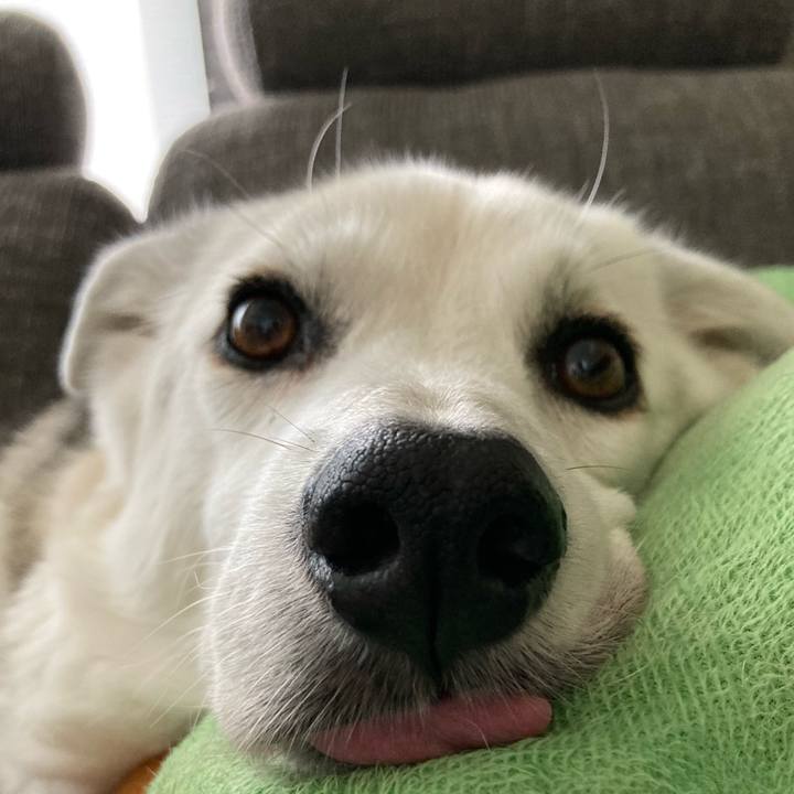 18bd876d b72f 46a9 bc0c 7db7dbeb0fdc 1660889193097