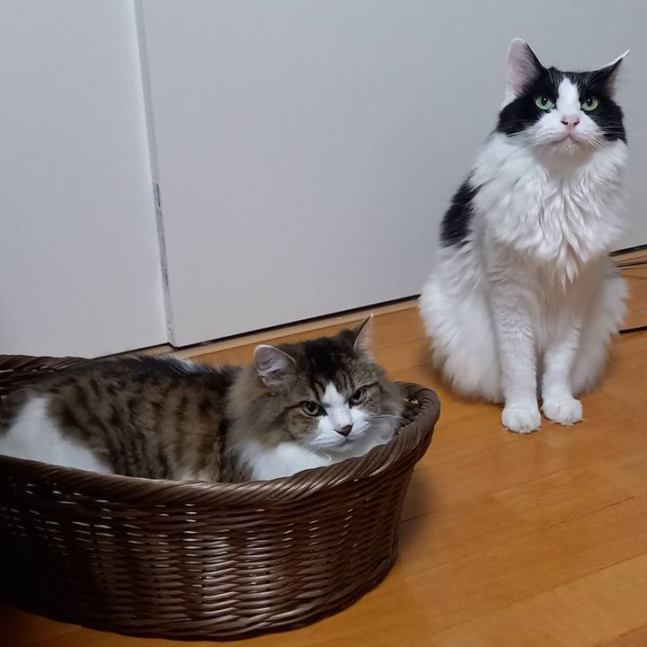 18bdbd81 d325 4752 bacf 295f0ad4c87f 1659991388851