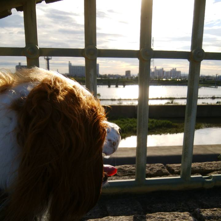 18bdde09 9c71 41c4 bde0 70bcac7b5aca 1531042791543